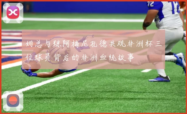 姆总与琼阿梅尼孔德共观非洲杯三位球员背后的非洲血统故事