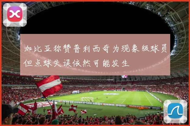 加比亚称赞普利西奇为现象级球员但点球失误依然可能发生