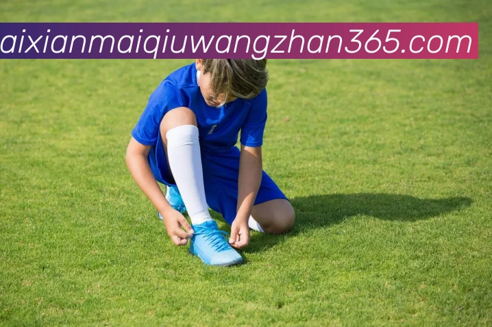 奖项证书